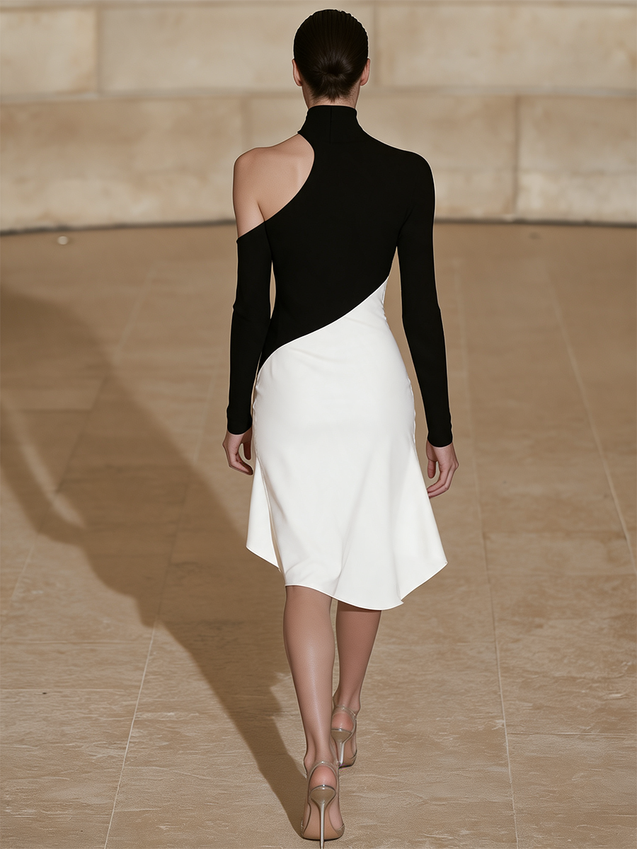 Women's Turtleneck One Shoulder Dress
