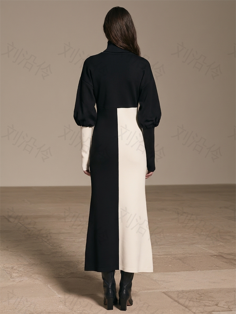 Women's Color Block Turtleneck Midi Dress