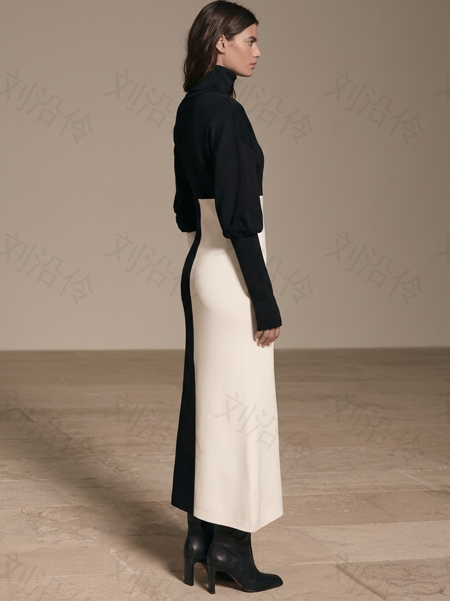 Women's Color Block Turtleneck Midi Dress