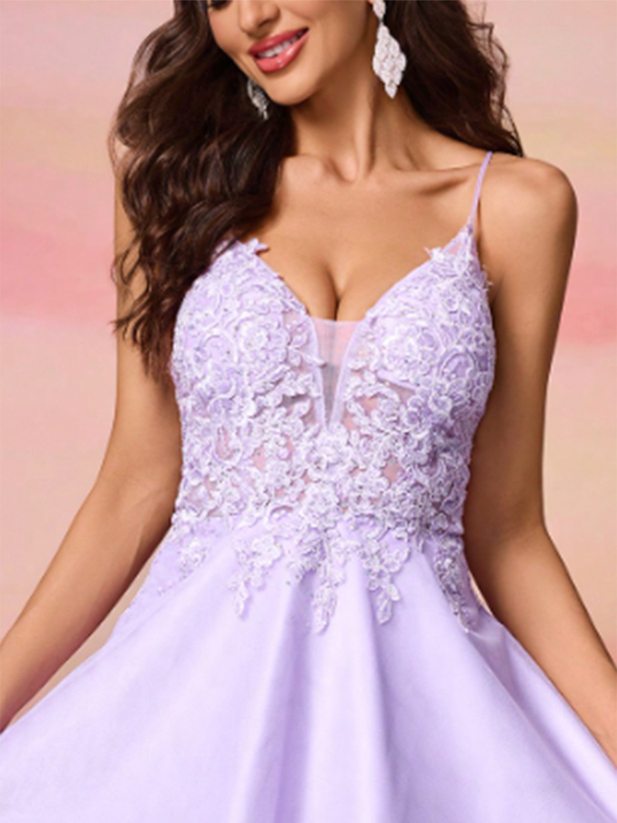 Women's Mesh Lace Embroidery Halter Back Waist Midi Dress MDA1943F2Y